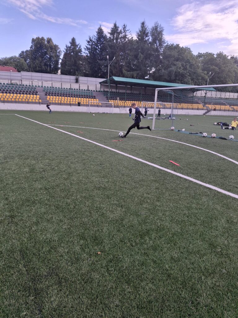 0bff1ec0-a17e-4d66-958f-a09262ae19ac