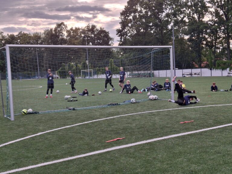 20e7a91d-45ce-450e-8ae6-7d173c05d01a