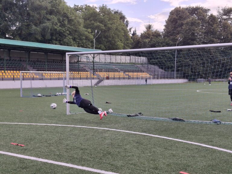 902080fb-33d1-47e5-8e7a-649800997090