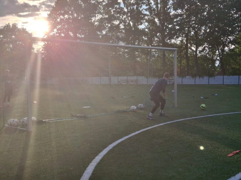 ac672295-84f0-4fa2-b6c6-74673615014b