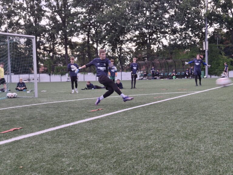 d16ae5fd-e9e3-497f-b75f-877f55230243