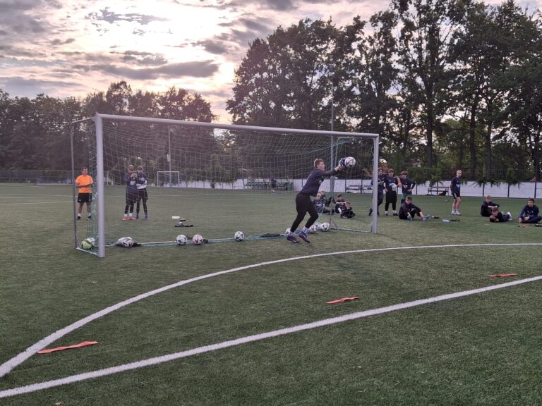 d6b9be37-36af-4ed5-8878-31e55d5011d9