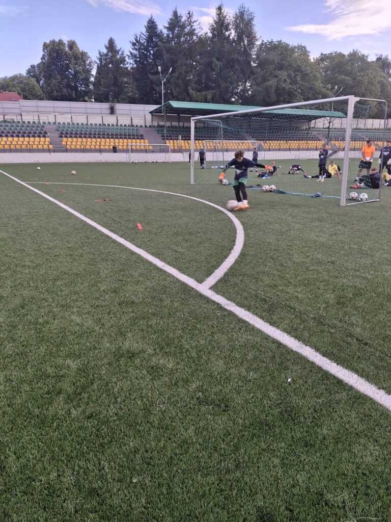 f0de0a37-81f9-4448-ae63-621ae1fbae95